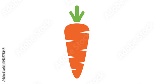 Fresh orange carrot vegetable illustration.