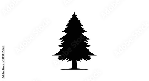 Black silhouette of a pine tree.