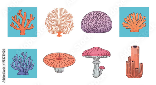 Colorful illustrations of various mushrooms and coral.
