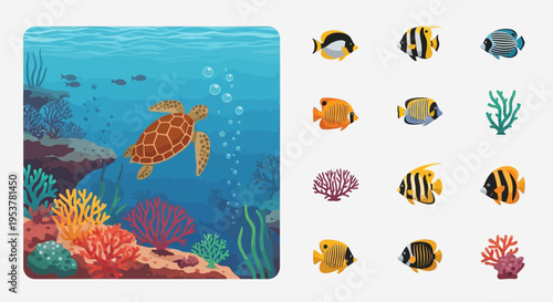 Colorful sea turtle and fish toys.