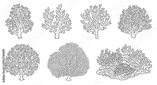 Coral Reef Illustrations in Black.