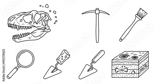 Dinosaur Fossil Excavation Tools.