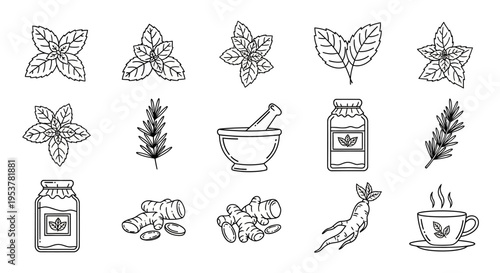 Herbal medicine ingredients and tools.
