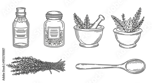 Herbs and kitchen utensils illustration set.