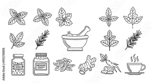 Herbs and spices in pharmacy.