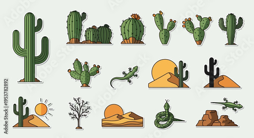 Collection of various cactus plants.
