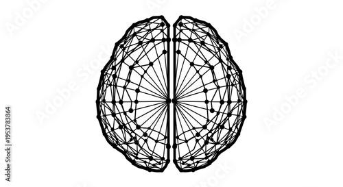 Conceptual illustration of a brain structure depicted as a network on a white background