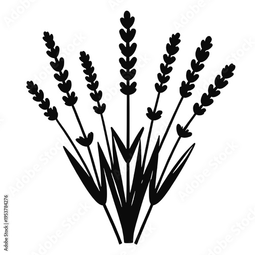 Lavender flower bouquet silhouette isolated on transparent background, minimal botanical herb design ideal for floral decor, nature themes and vector illustration use.