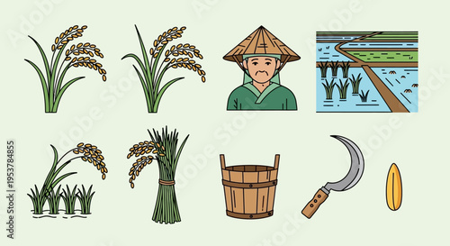 Rice farmer with farming tools and rice plants.