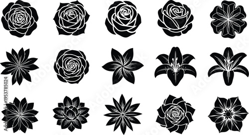 Black and white floral silhouettes of roses and lilies flower lily