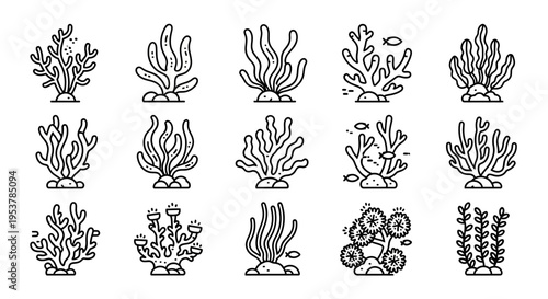 Black and white coral reef illustrations.