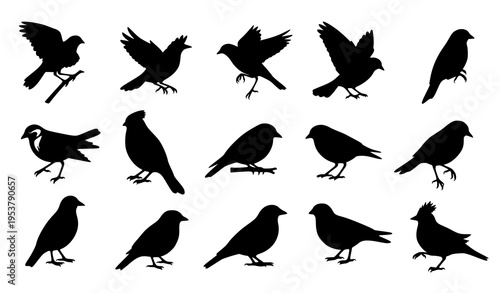 Bird Silhouette Set Black Flying Birds Minimal Vector Illustration