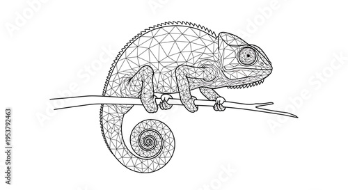 Detailed line drawing of a chameleon.