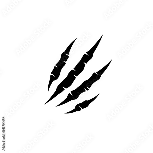 Black bear claw marks silhouette.