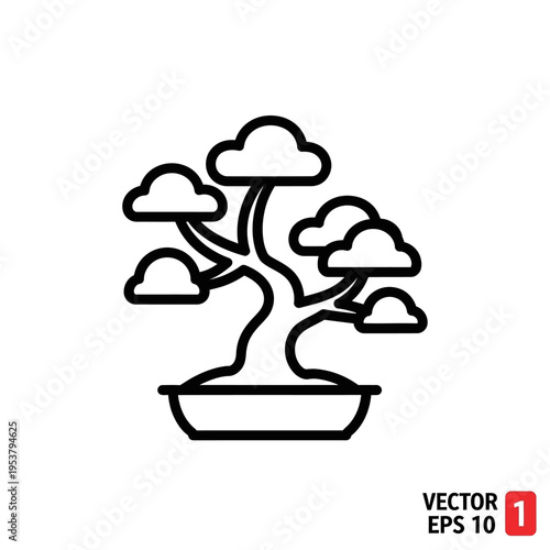 Bonsai tree in a pot.