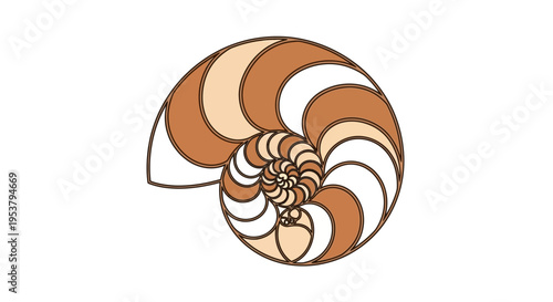 Brown and white spiral shell shape.