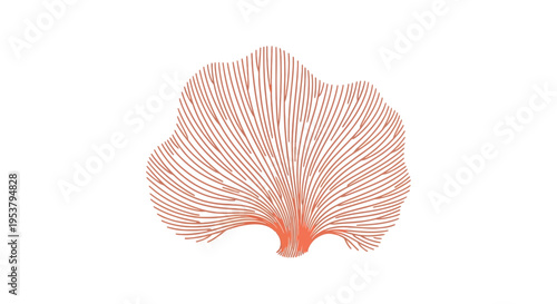 Close up of pink sea fan.