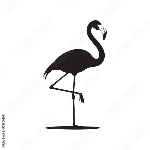 A standing flamingo silhouette displays its long neck and legs against a simple white background with one leg raised.