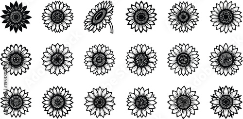 Collection of black and white sunflower and floral petal