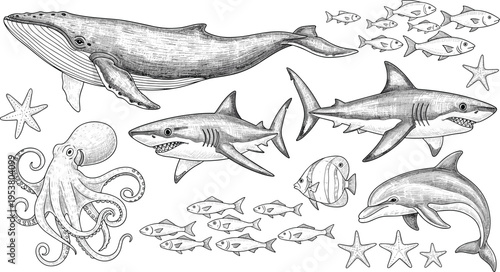 Set of Ocean Animals in Black and White, Featuring Whale, Sharks, Dolphin, Fish, Octopus, and Starfish