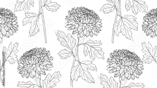 Seamless chrysanthemum flower pattern with detailed line art, elegant botanical vector illustration for coloring books, textiles, and decorative design