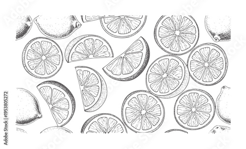 Black and white citrus fruit slices and wedges line lemons limes