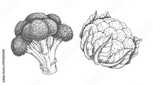 Black and white line of broccoli and cauliflower heads vegetables