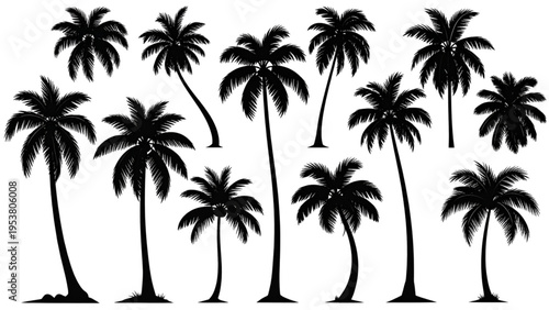 Collection of tropical palm tree silhouettes with varied trunk shapes and leaf arrangements, detailed vector illustration for design and decoration