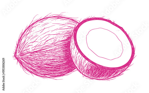 Pink whisk with fuzzy hairs and sliced circular opening