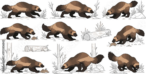 Beaver Line Art Illustration Set with Forest and River Scenes, Hand Drawn Wildlife Animal Collection for Nature, Ecology, and Outdoor Vector Design