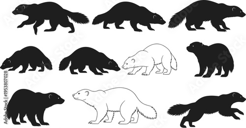 Beaver Silhouette Set with Various Poses and Movements, Black Animal Shapes for Wildlife Design, Nature Illustration, and Creative Vector Graphics Collection