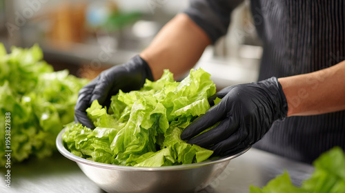 Gloved hands tossing lettuce in stainless bowl in kitchen preparing salad