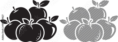 Contrasting black and white apple illustrations with different textures and shading techniques