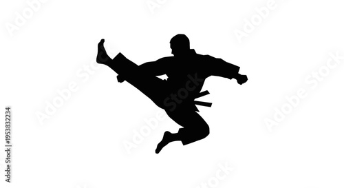 Martial Arts Silhouette Kick.