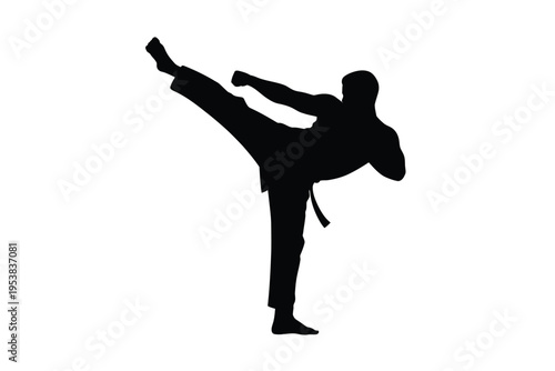 Silhouette of a martial artist executing a dynamic side kick pose