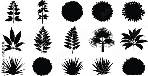 Plant Silhouettes Collection Bushes Trees Leaves Garden Plants Black Vector Illustration