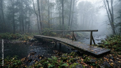 Wooden footbridge crossing a stream in a foggy forest. Scenic view of nature with misty trees and autumn foliage. Concept of a peaceful journey in a quiet, mysterious wilderness landscape.