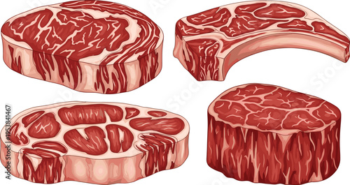 Variety of Beef Steak Cuts Illustration Set