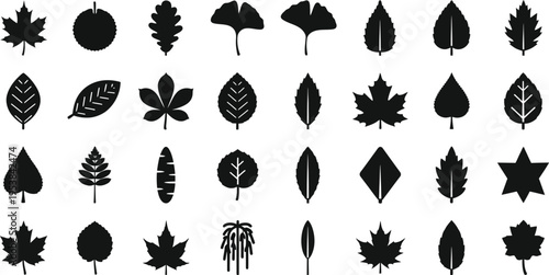 An extensive and diverse collection of black silhouette icons featuring numerous distinct leaf shapes and types, representing various trees and plants from different seasons and climates.