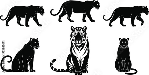 Big cat silhouette collection featuring panther and tiger in walking and sitting poses, wild feline animal set isolated on light background