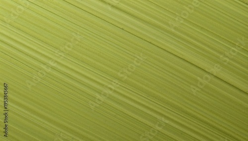Textured Green Surface with Diagonal Lines and Organic Feel