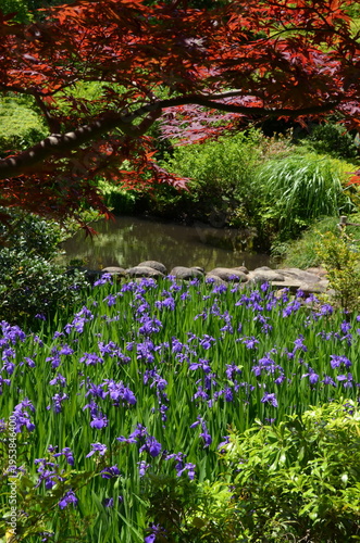 日本庭園