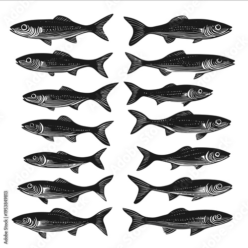 black silhouette herring on a white backgrounk vector