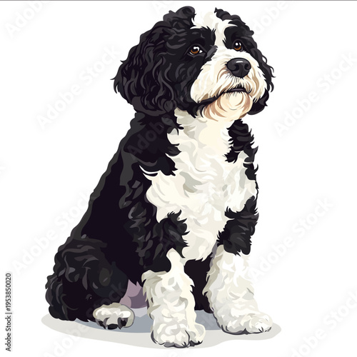 simple vector Portuguese Water Dog clipart illustration white background vector art style simple design flat illustration no shadows
