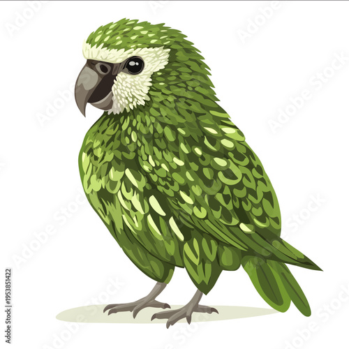 simple vector kakapo clipart illustration white background vector art style simple design flat illustration no shadows