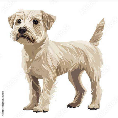 simple vector Glen of Imaal Terrier clipart illustration white background vector art style simple design flat illustration no shadows