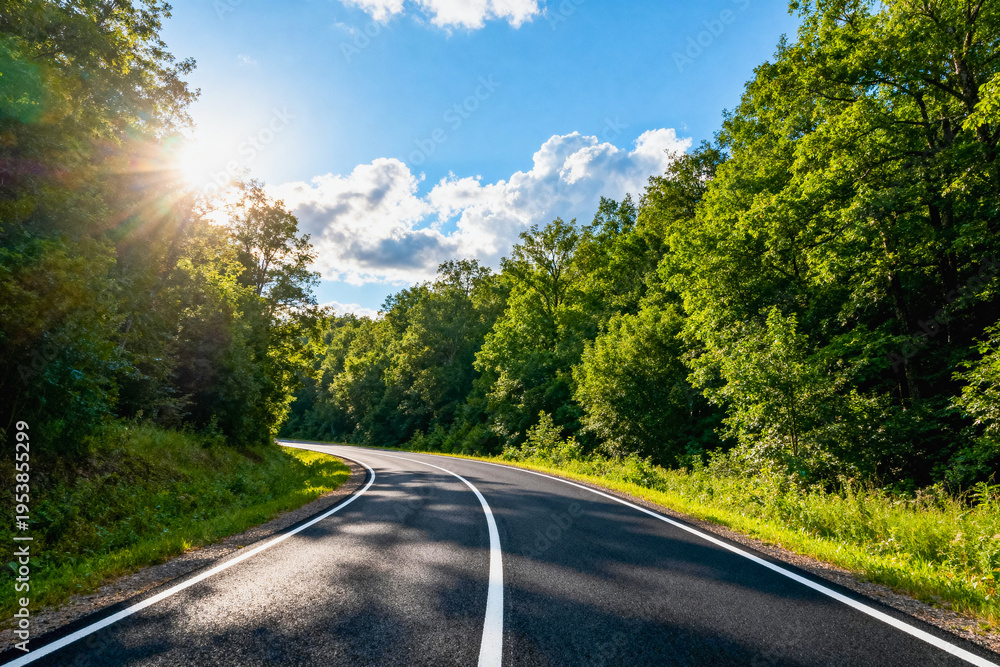 Obraz premium Winding Road Through Lush Green Forest Under Blue Sky