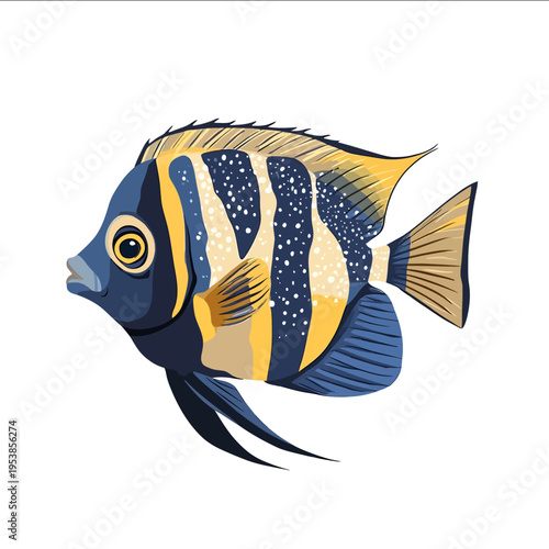 simple vector emperor angelfish clipart illustration white background vector art style simple design flat illustration no shadows