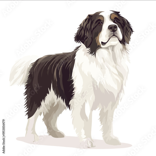 simple vector Polish Lowland Sheepdog clipart illustration white background vector art style simple design flat illustration no shadows