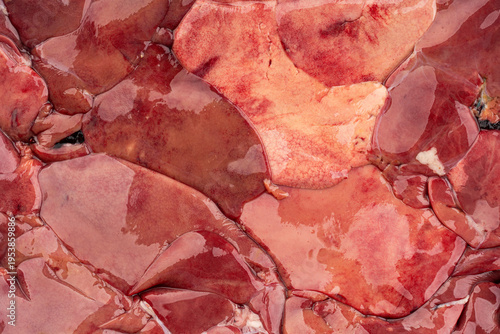 Raw chicken liver isolated on white background. Meat.	
